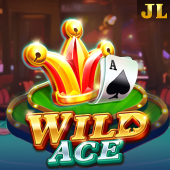 Wild Ace GameZone Casino slot